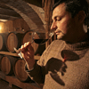 MONTE SAN SAVINO, WINE TASTING IN THE BARRICCAIA (THE BARRIQUE CELLAR)