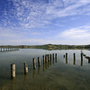 IMAGES ALONG THE PATH OF THE RECLAIMED LAND