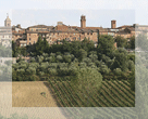 Torrita di Siena