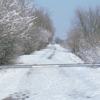 Sentiero innevato