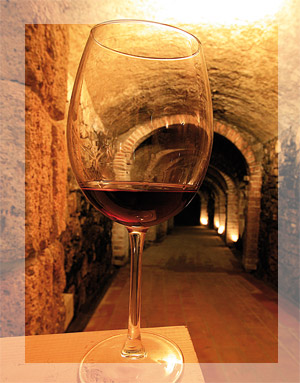 Una cantina lungo il Sentiero della Bonifica
