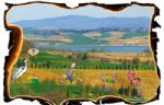 Immagine dell'evento