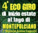 Immagine dell'evento